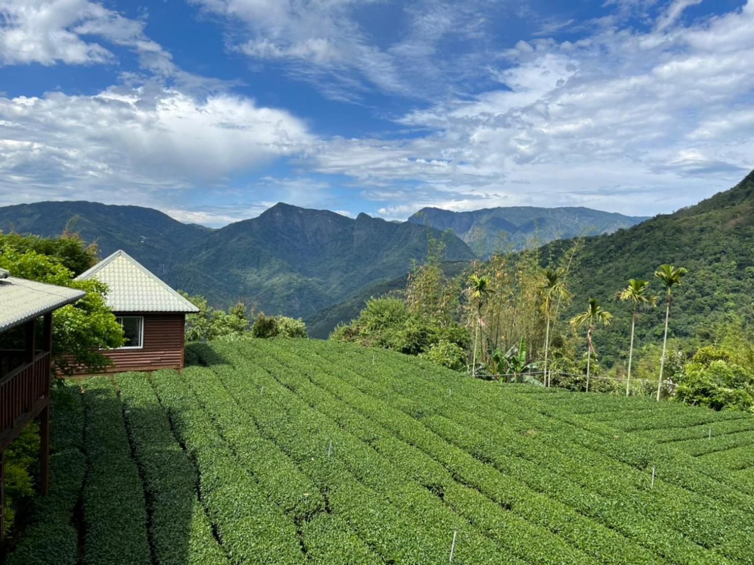 Ye Jiang Hua Homestay Meishan Buitenkant foto